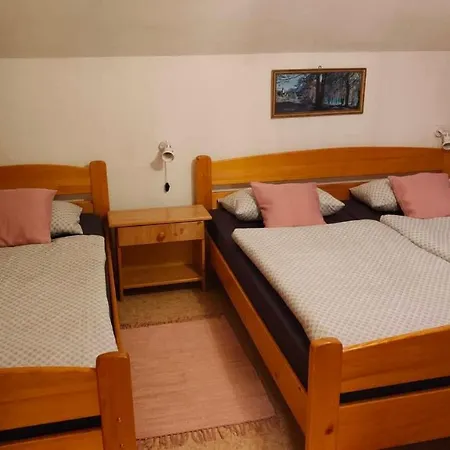 Апартаменты Apartma Dalija *